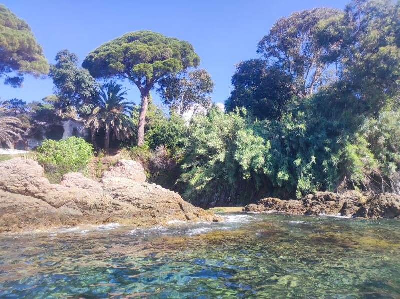 image IMG_20220629_100530