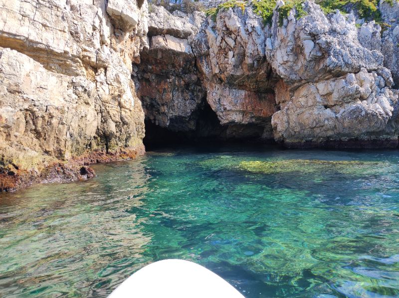 image IMG_20220709_103843